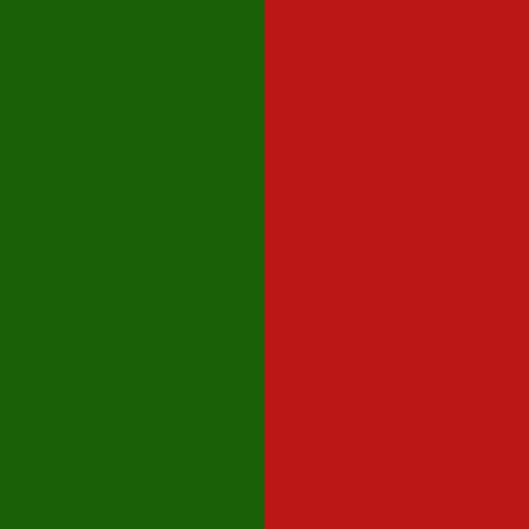 Colors for hat : red and green