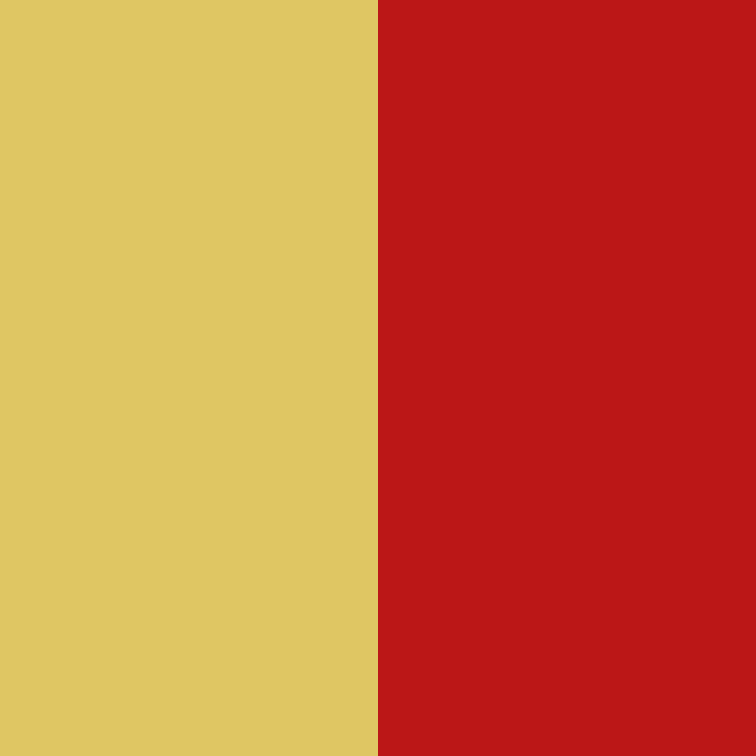 Colors for hat : yellow and red