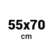Size of shield: 55x70 cm (21.65x27.55 in)