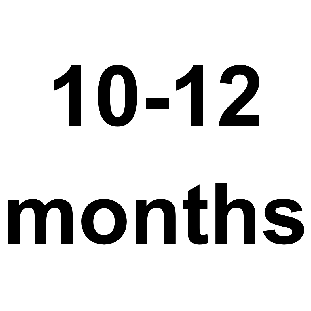 Manufacturing time: 10-12 months