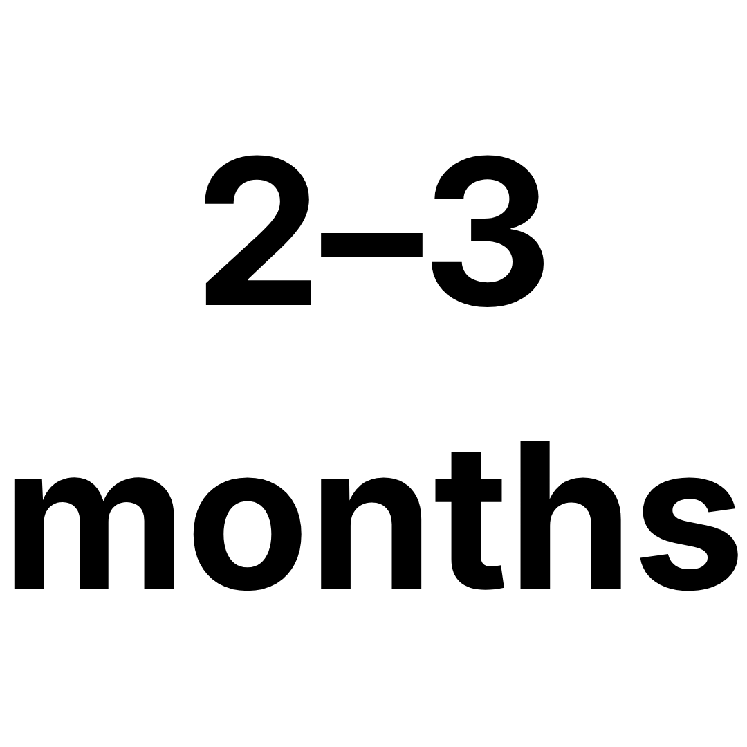 Manufacturing time: 2-3 months