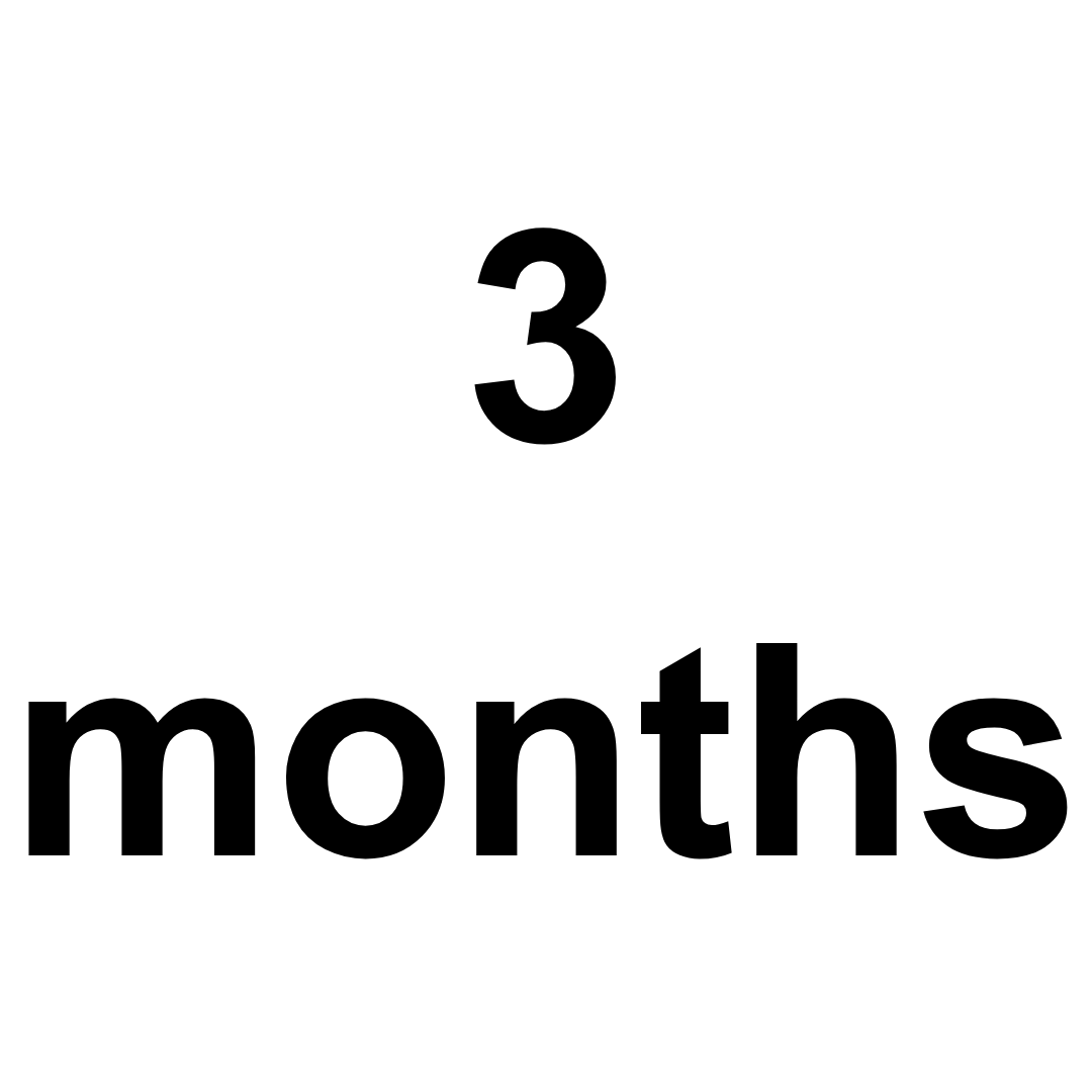 Manufacturing time: 3 months