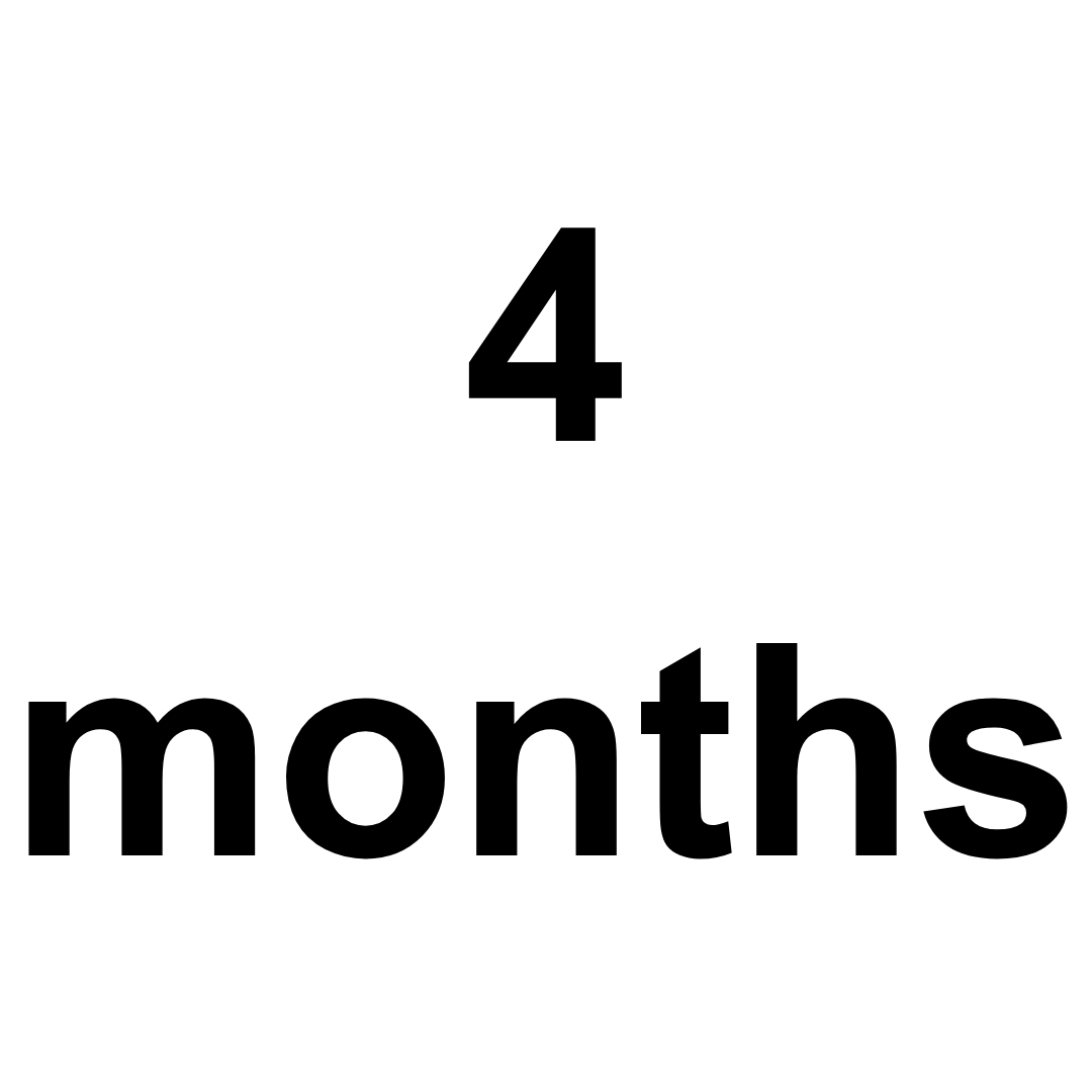 Manufacturing time: 4 months