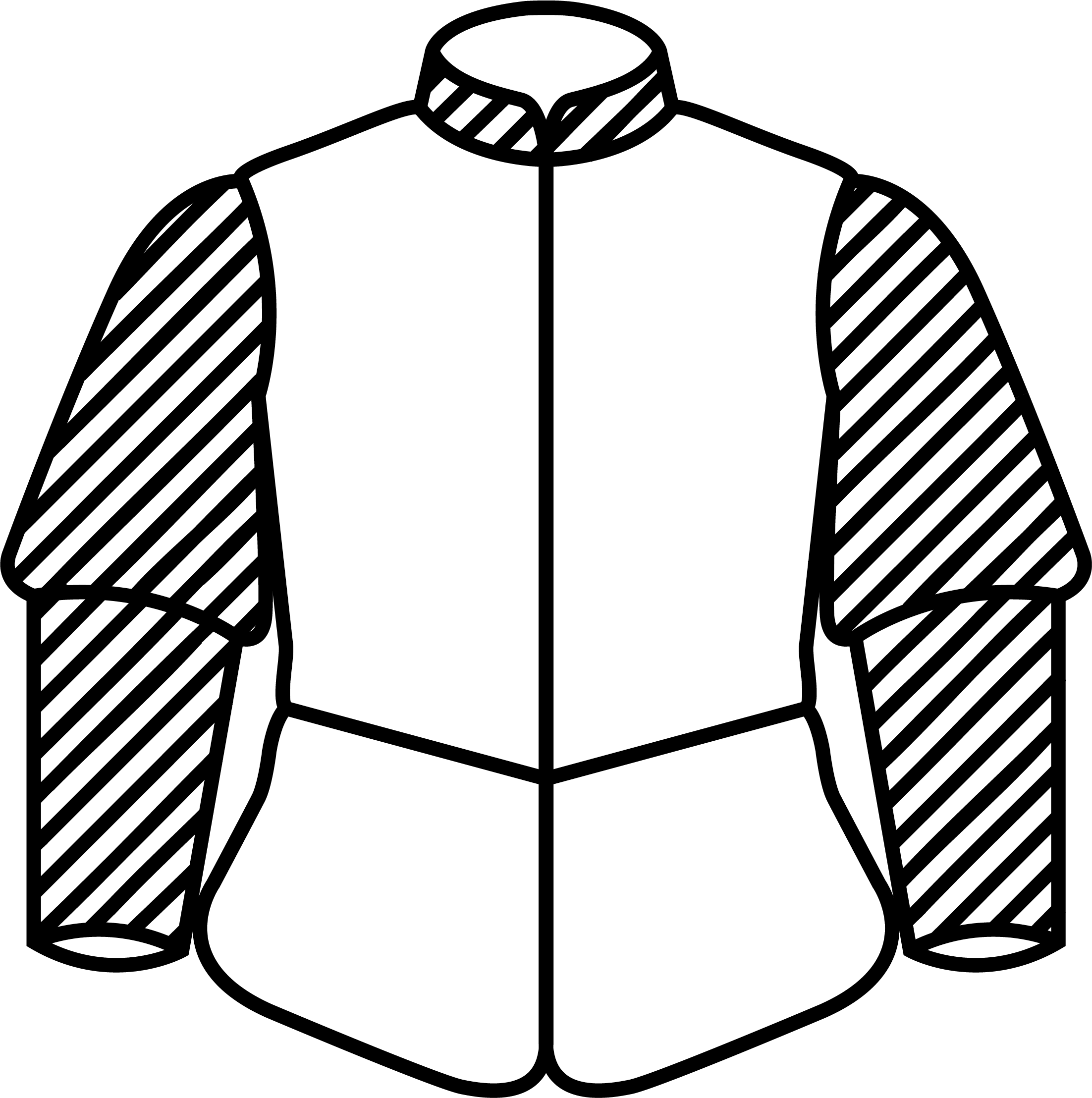 Two-color design: contrast sleeves and collar