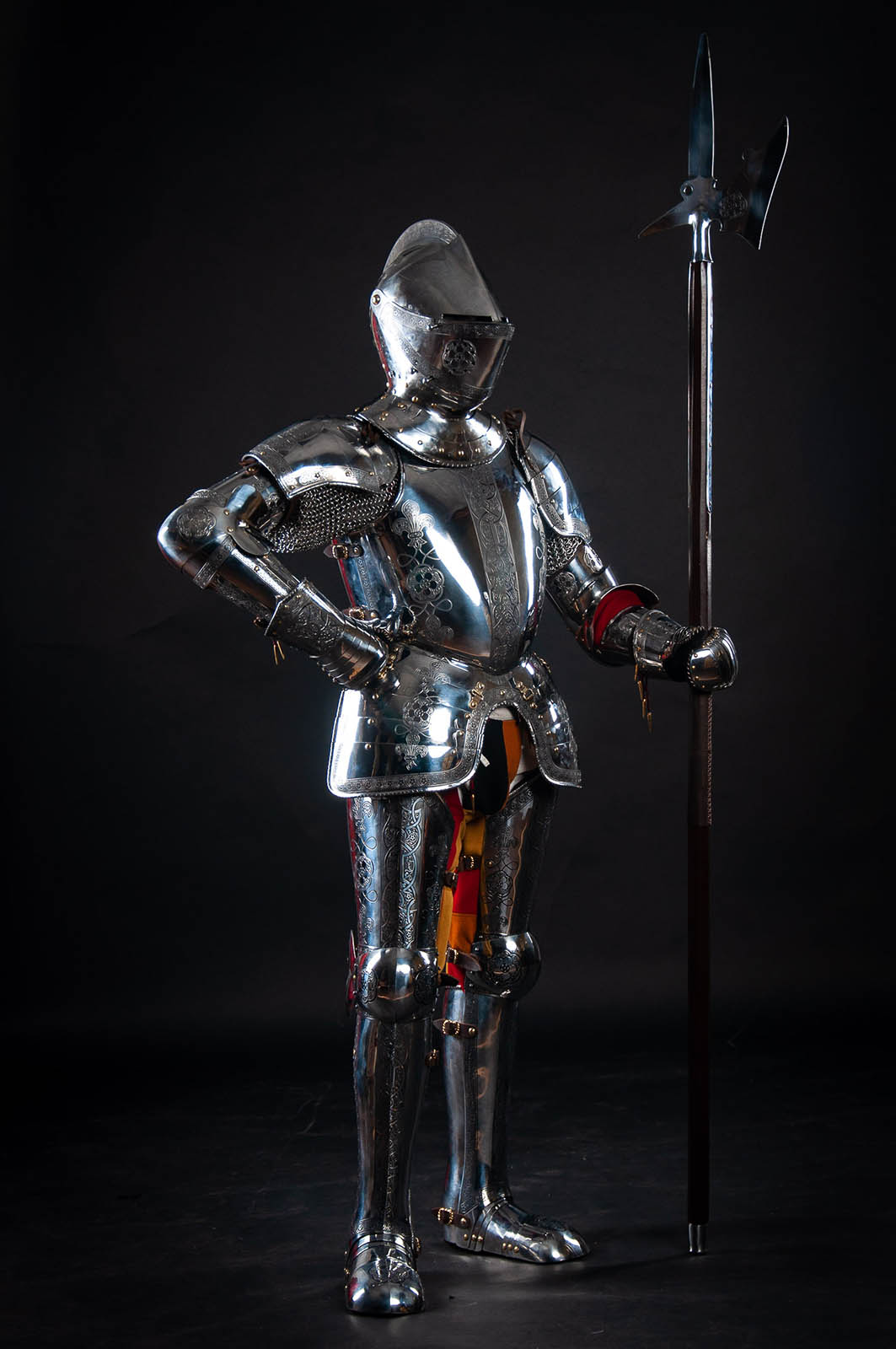 2x collar Printed chest armour Silver armor 04261V