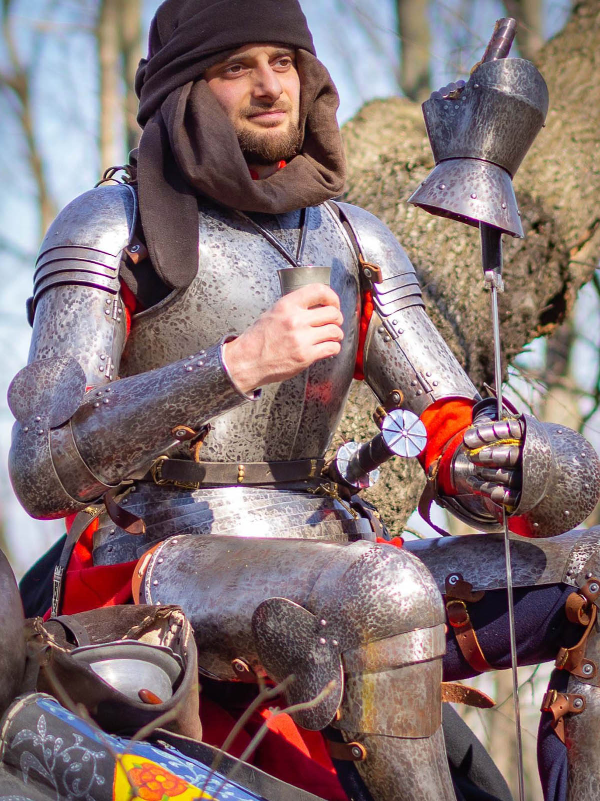 Medieval Cavalier Hinged Knightly Armor 16g Mild Steel Functional Bracers